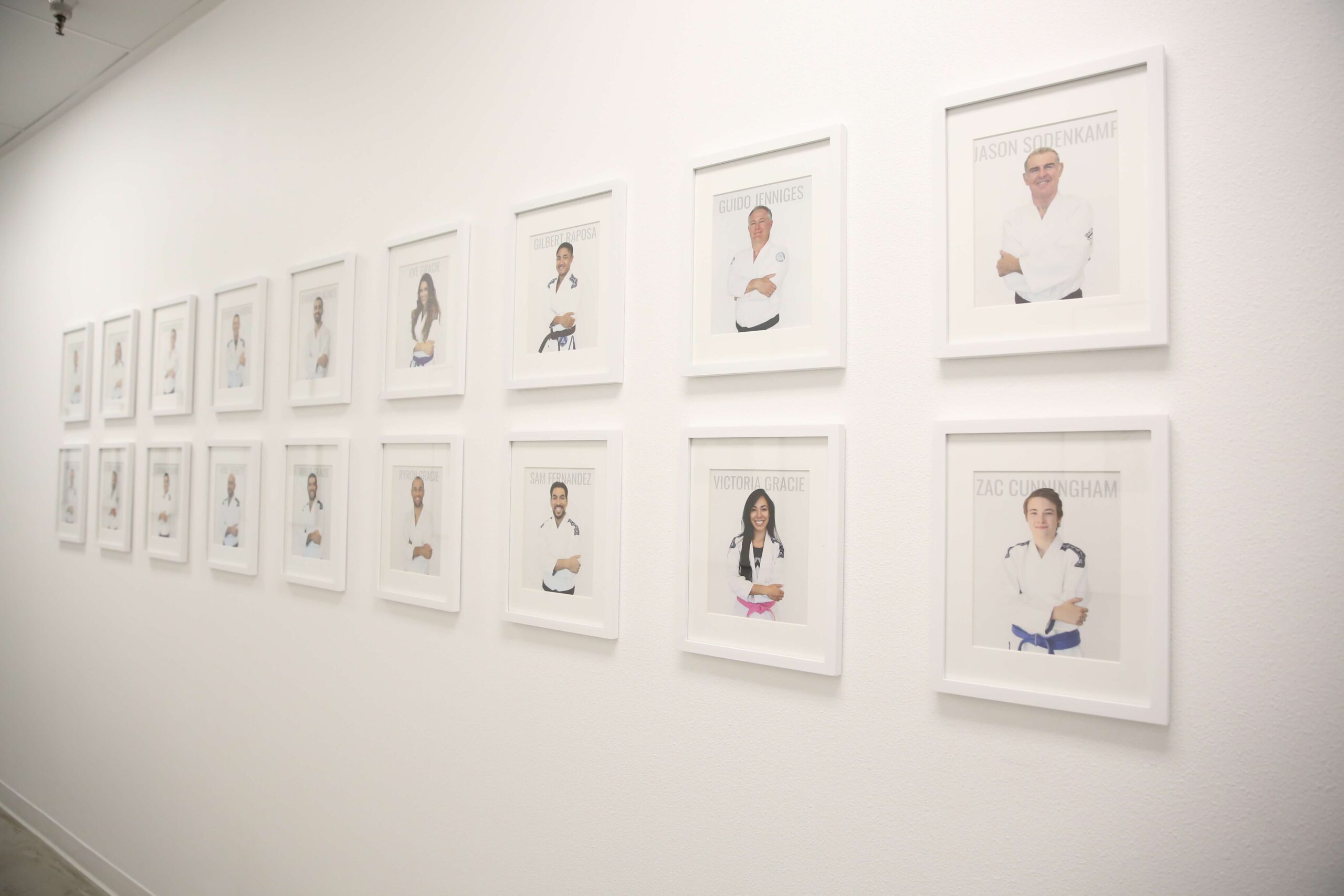 Gracie University instructor images